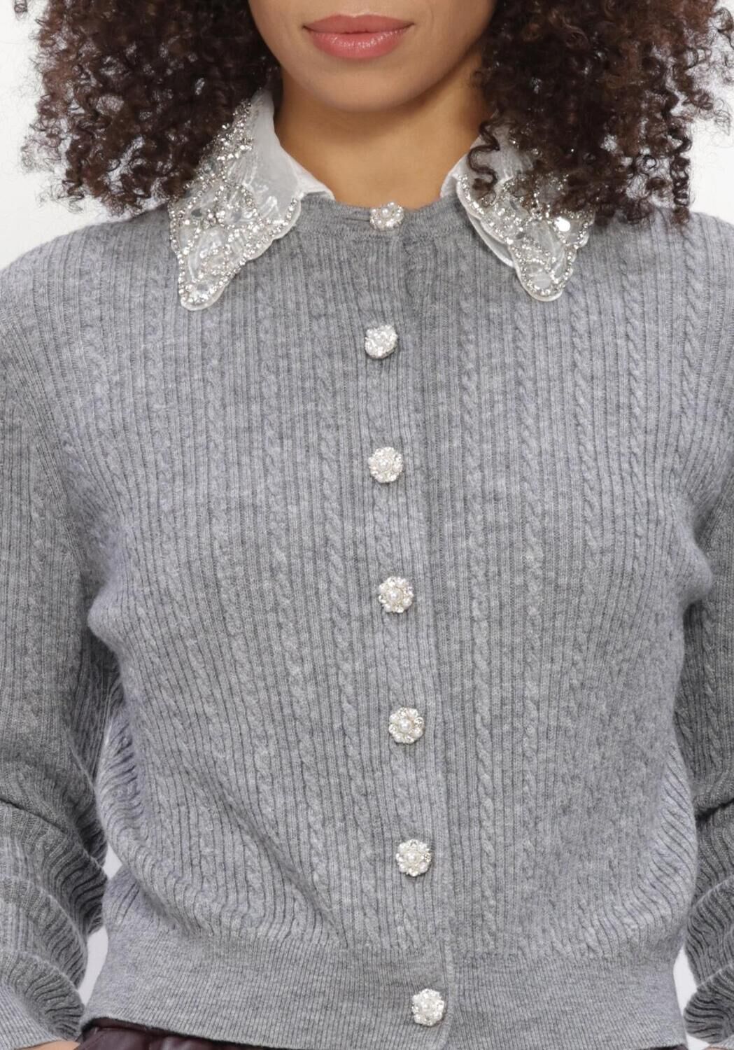 Grijze SILVIAN HEACH Trui CARDIGAN DESMET - large