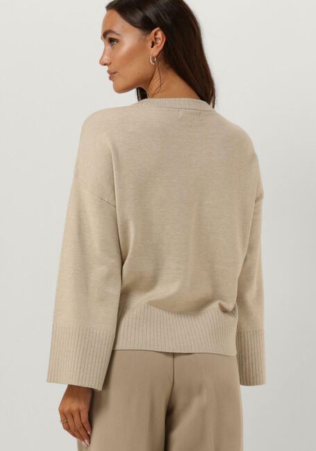Beige MSCH COPENHAGEN Tops & T-shirts MSCHODANNA RACHELLE PULLOVER - large