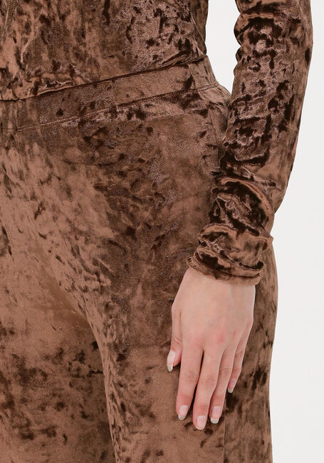 Bruine CATWALK JUNKIE Flared broek TR VELVET - large