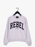 COLOURFUL REBEL Chandail REBEL PATCH DROPPED SHOULDER SWEAT Gris clair