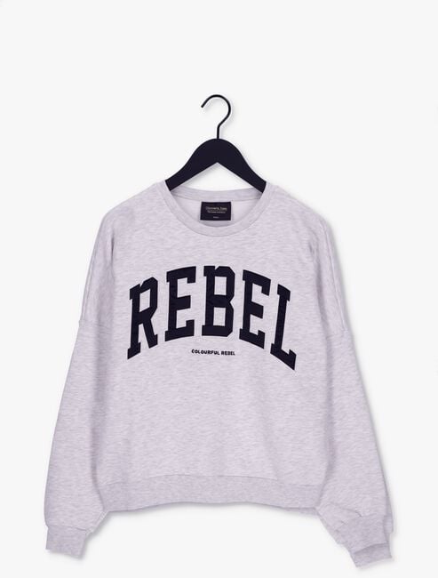 COLOURFUL REBEL Chandail REBEL PATCH DROPPED SHOULDER SWEAT Gris clair - large