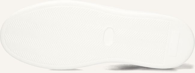 Grijze STEFANO LAURAN Sneakers STAR 003 Grijze STEFANO LAURAN Sneakers STAR 003 - large