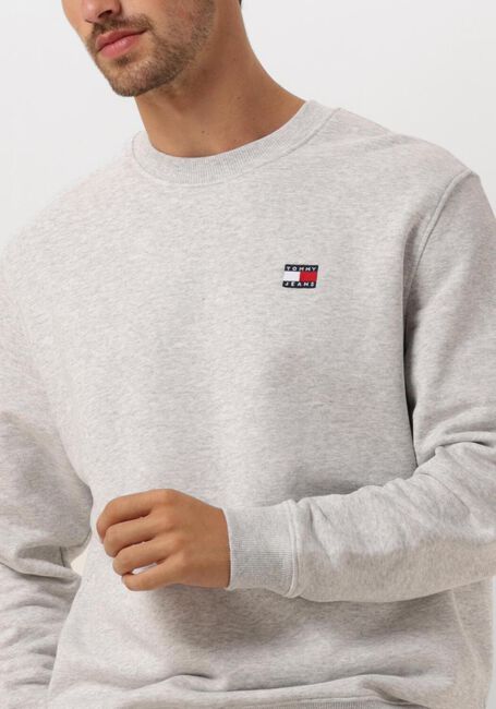 TOMMY JEANS Pull TJM REG BADGE CREW EXT Gris clair - large