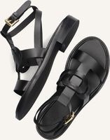 Zwarte SEE BY CHLOÉ Sandalen LOYS Zwarte SEE BY CHLOÉ Sandalen LOYS - medium