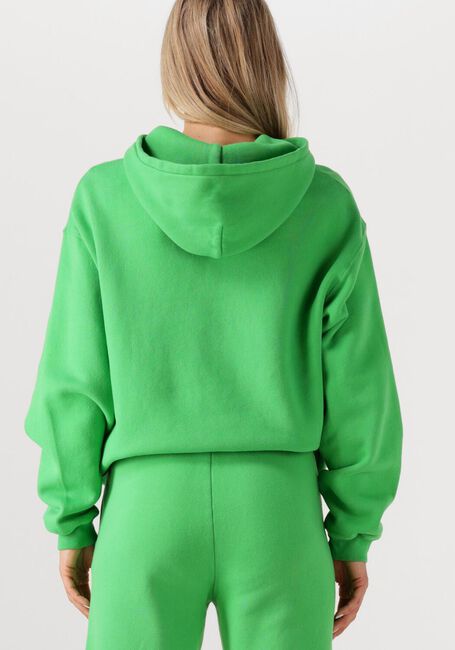 Groene AMERICAN VINTAGE Trui IZUBIRD - large