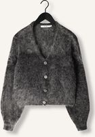 Grijze GESTUZ Vest GZDEBBIE CARDIGAN Grijze GESTUZ Vest GZDEBBIE CARDIGAN - medium