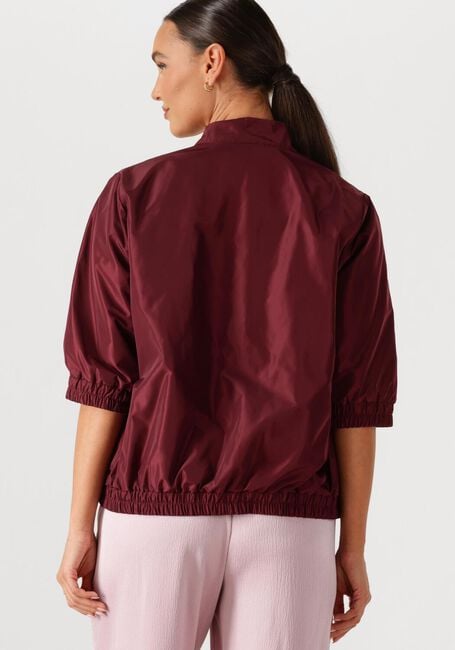 AMAYA AMSTERDAM Jack STORM Bordeaux - large