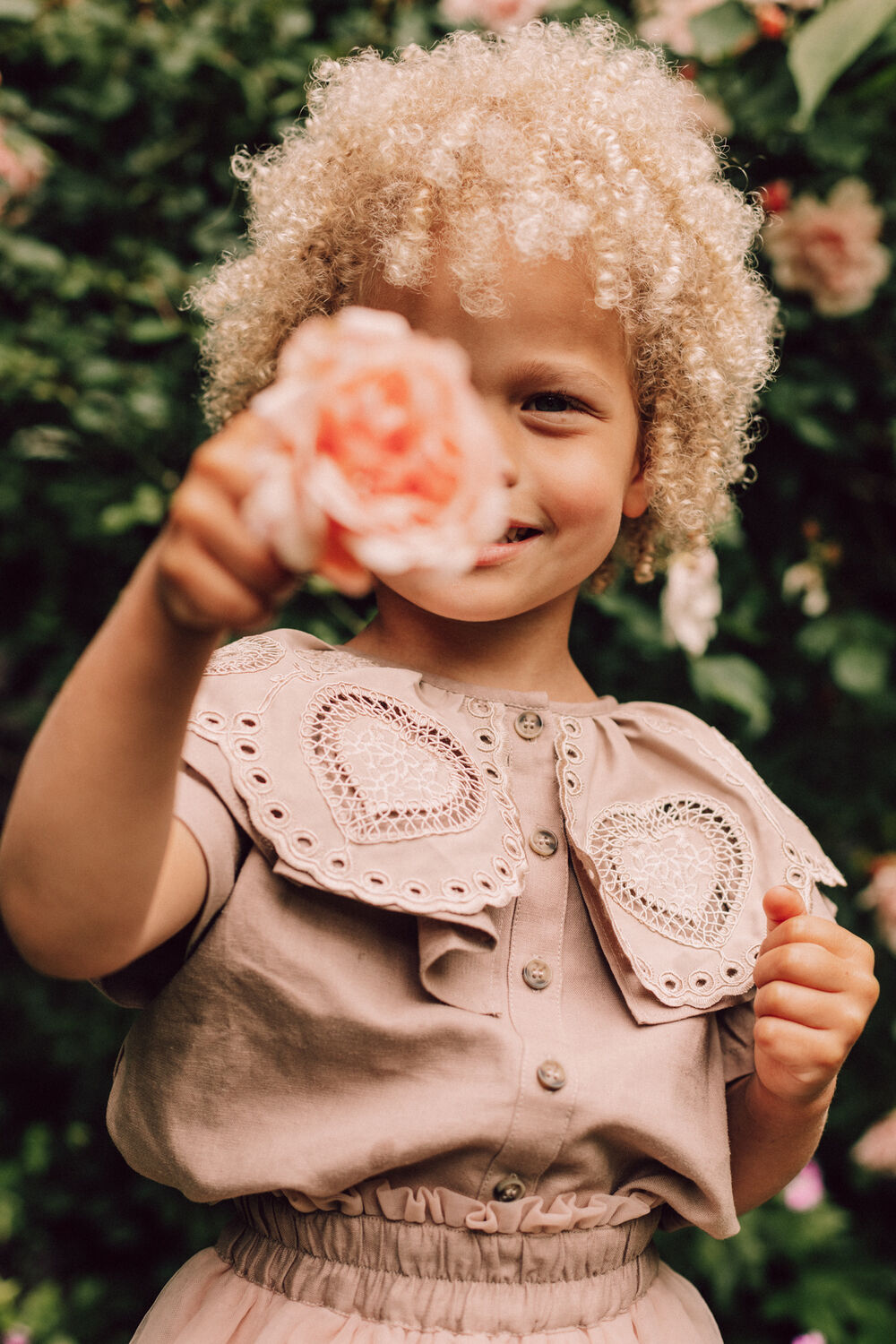 Bruine BAJE STUDIO  LOUEN - large