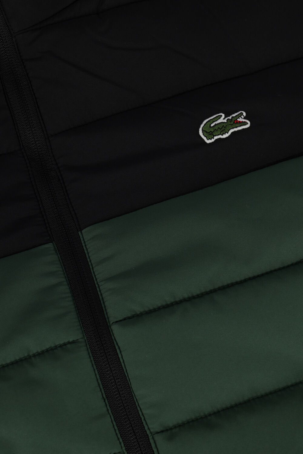 Veste lacoste cheap matelassé