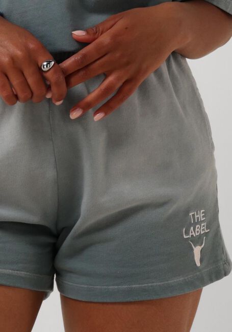 Grijze ALIX THE LABEL Broeken/jumpsuits LADIES KNITTED SPRAYED SWEAT SHORTS - large