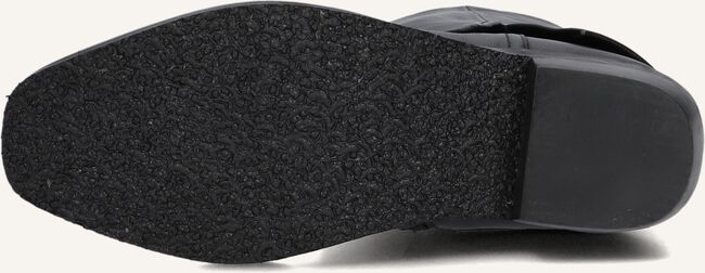 Zwarte HIP  H1839 Zwarte HIP  H1839 - large