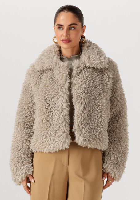 Taupe JOSH V Teddy jas LISA - large