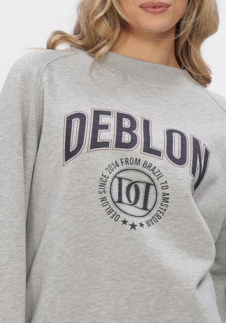 DEBLON SPORTS Chandail VIVE SWEATER en gris - large
