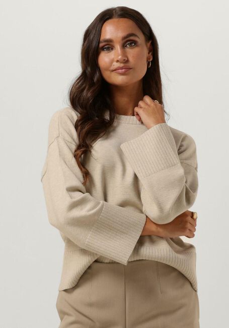 Beige MSCH COPENHAGEN Tops & T-shirts MSCHODANNA RACHELLE PULLOVER - large