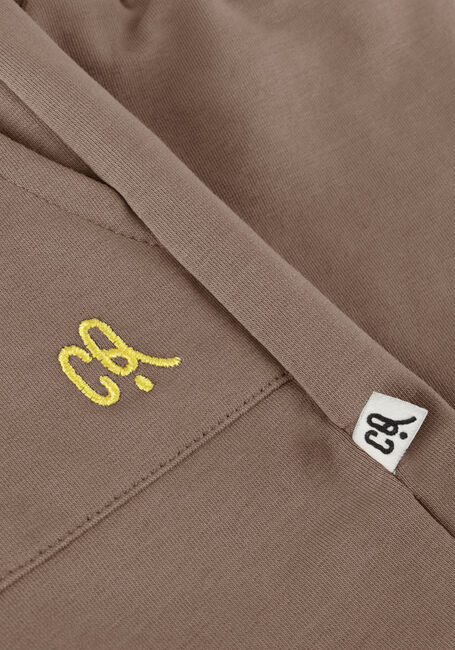 Grijze CARLIJNQ Korte broek BASIC - SHORTS LOOSE FIT - large