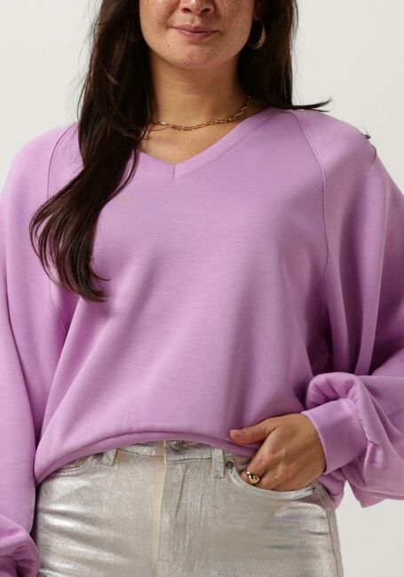 Paarse MSCH COPENHAGEN Trui MSCHNELINA IMA Q RAGLAN SWEATSHIRT - large