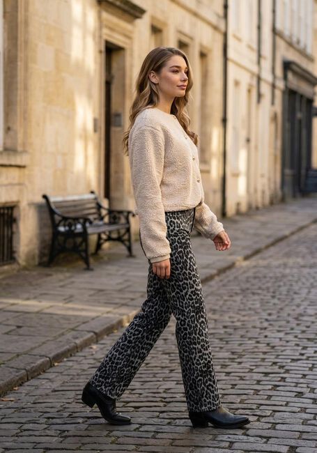 NEO NOIR Pantalons longs SIMONA LEOPARD PANTS en marron - large