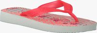 pink HAVAIANAS shoe HAV.KIDS FLORES  - medium