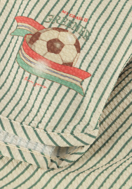 KONGES SLOJD Shorts de bain SEER ASNOU SWIMSHORTS GRS en vert - large