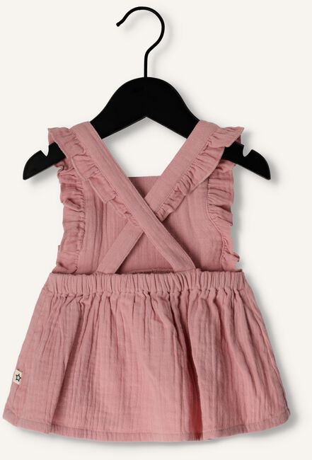 Roze YOUR WISHES Jurken JUUL Omoda - Main Image