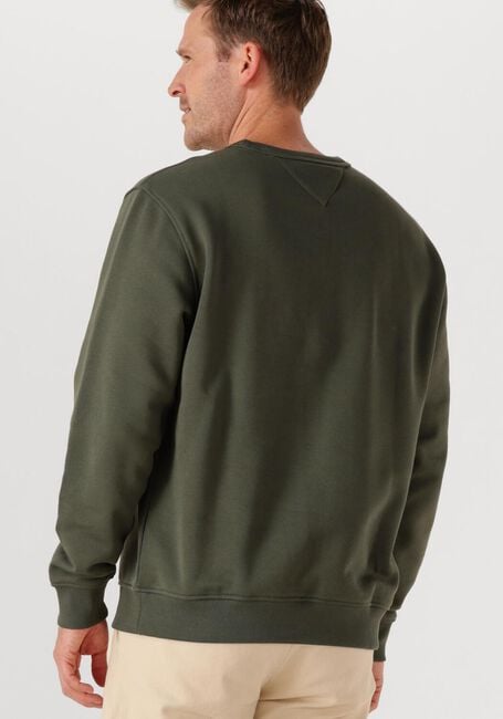 TOMMY JEANS Pull TJM REG BADGE CREW EXT Vert foncé - large