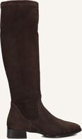 STEFANO LAURAN 15180 - medium