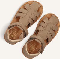 Taupe SHOESME Sandalen CS24S017 Taupe SHOESME Sandalen CS24S017 - medium