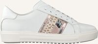 Witte MARIPE Sneakers 30308 - medium