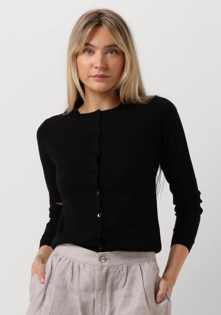 Zwarte RESORT FINEST Vest LUCCA - large