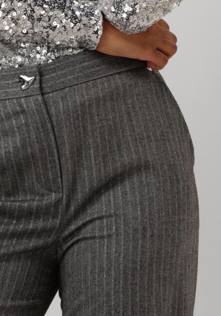 CAROLINE BISS 4530 Pantalons en gris - large