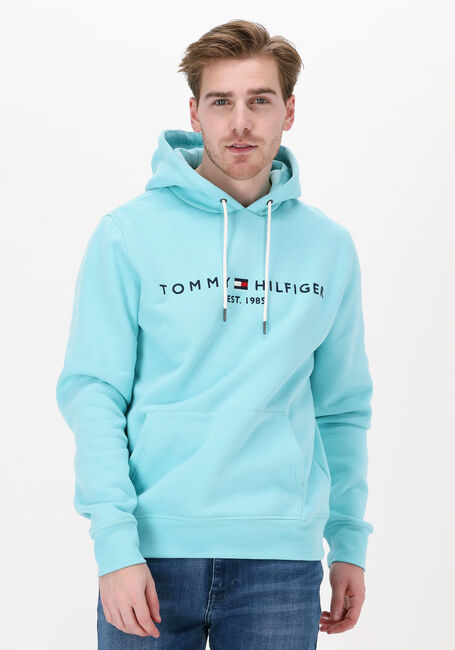 TOMMY HILFIGER Chandail TOMMY LOGO HOODY Bleu clair - large