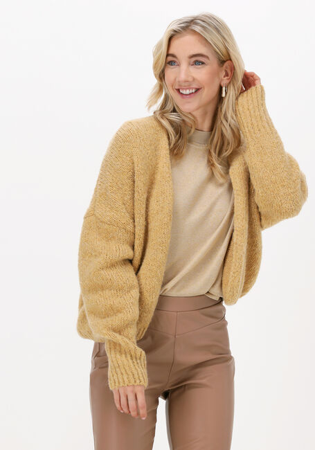 Gele KNIT-TED Vest BECKY - large