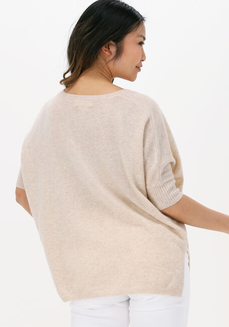 NOT SHY Pull AIMEE Sable - large