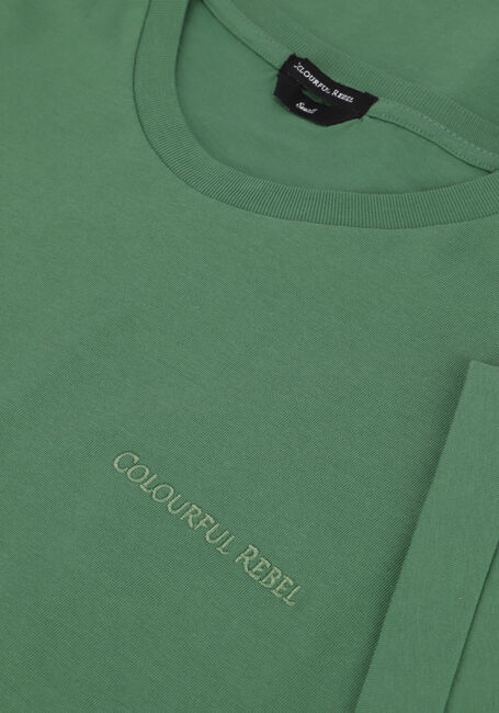 Groene COLOURFUL REBEL T-shirt UNI BOXY TEE - large