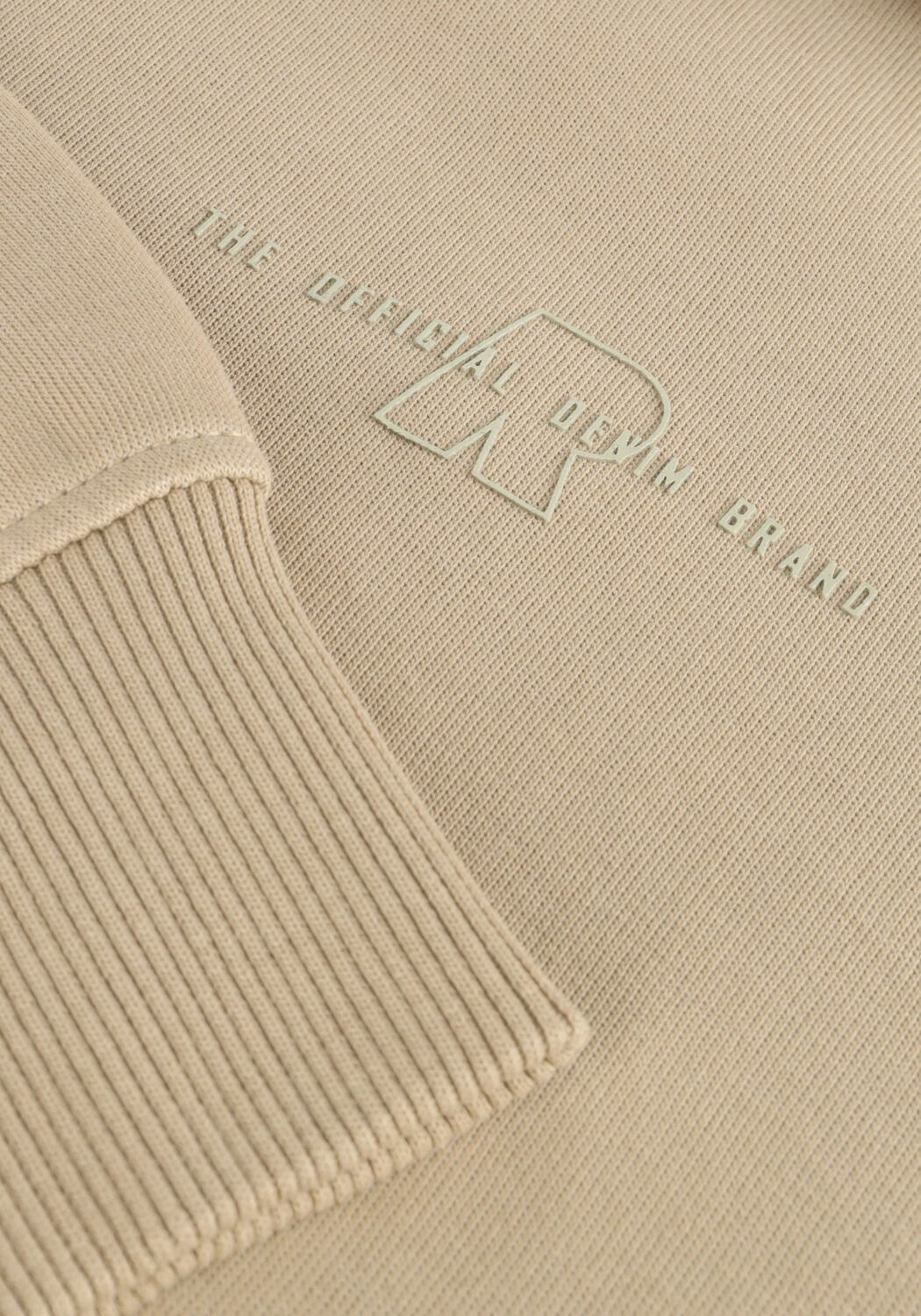 Taupe RAIZZED Truien/vesten EUGENE - large