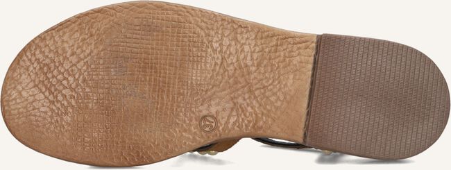 Cognac BLASZ Sandalen 1GAMBA100 Cognac BLASZ Sandalen 1GAMBA100 - large