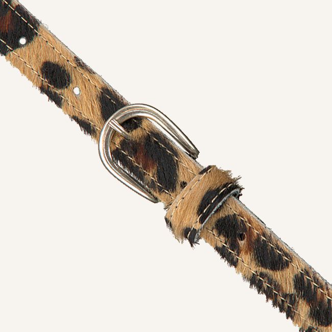 Bruine LEGEND Riem 20803 Bruine LEGEND Riem 20803 - large