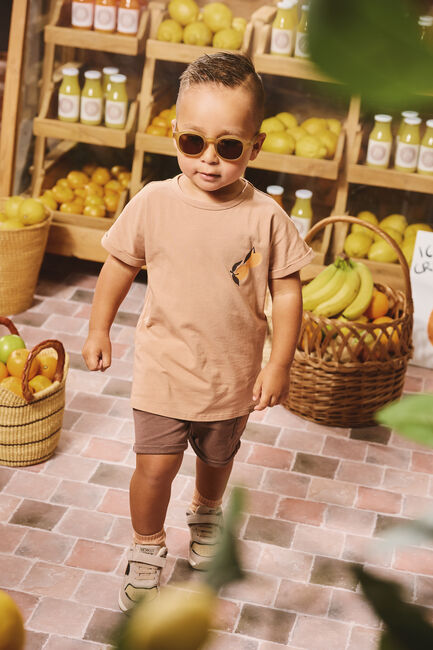 Z8 T-shirt ENNIO en marron - large