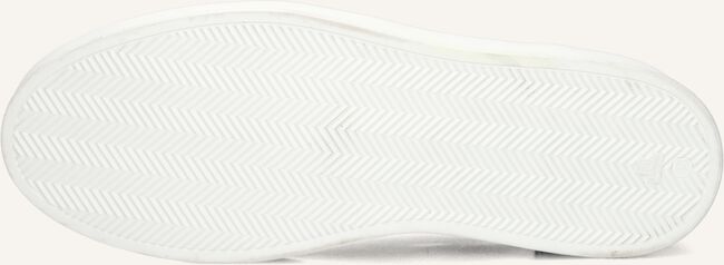 Blauwe STEFANO LAURAN Sneakers LJ2502 Blauwe STEFANO LAURAN Sneakers LJ2502 - large