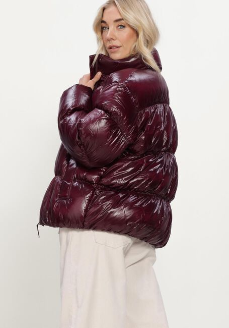 Bordeaux TOMMY JEANS Gewatteerde jas TJW HIGH NECK SHINY PUFFER DOWN - large