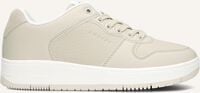 CRUYFF INDOOR ROYAL DAMES - medium