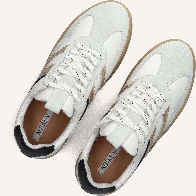 NOTRE-V ANEMONE-63 NOTRE-V ANEMONE-63 - large