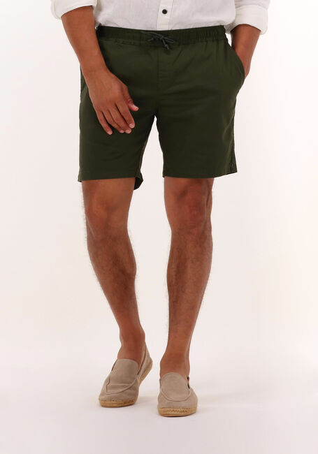 ANERKJENDT Pantalon courte AKLT JIMMY SHORTS Vert foncé - large