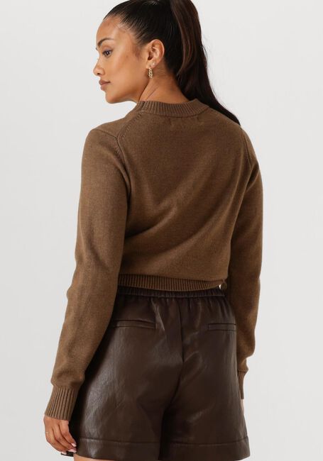 Bruine NUKUS Trui INTARSIA PULLOVER - large