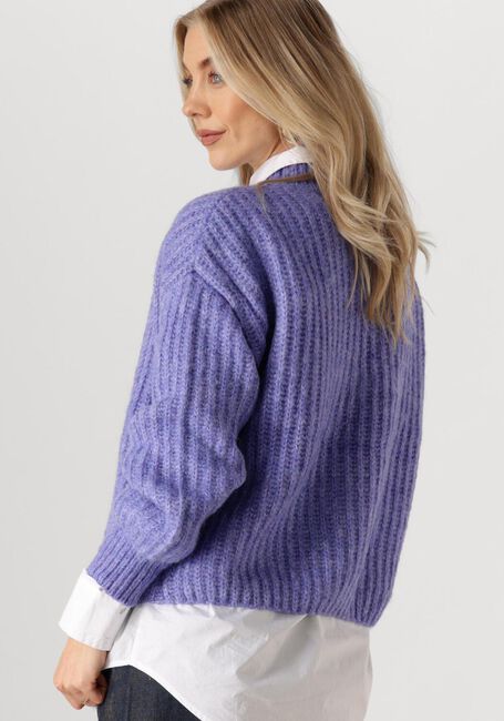 Blauwe CIRCLE OF TRUST Trui JOELLE KNIT - large