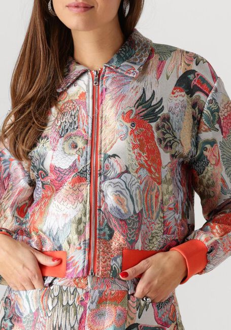 STUDIO AMAYA Jack HAILEY en multicolore - large