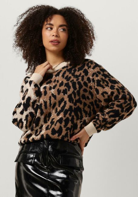 Bruine CATWALK JUNKIE Sweater KN DOVER - large