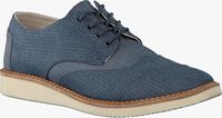 Blue TOMS shoe BROG LACE UP  - medium