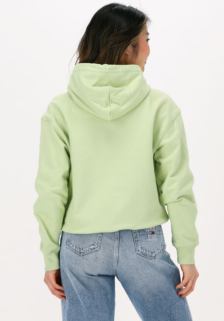 CALVIN KLEIN Chandail STACKED LOGO HOODIE en vert - large