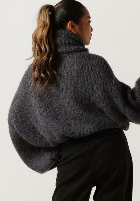 AMERICAN DREAMS Col roulé PEPPER ROLL NECK CROPPED en gris - large